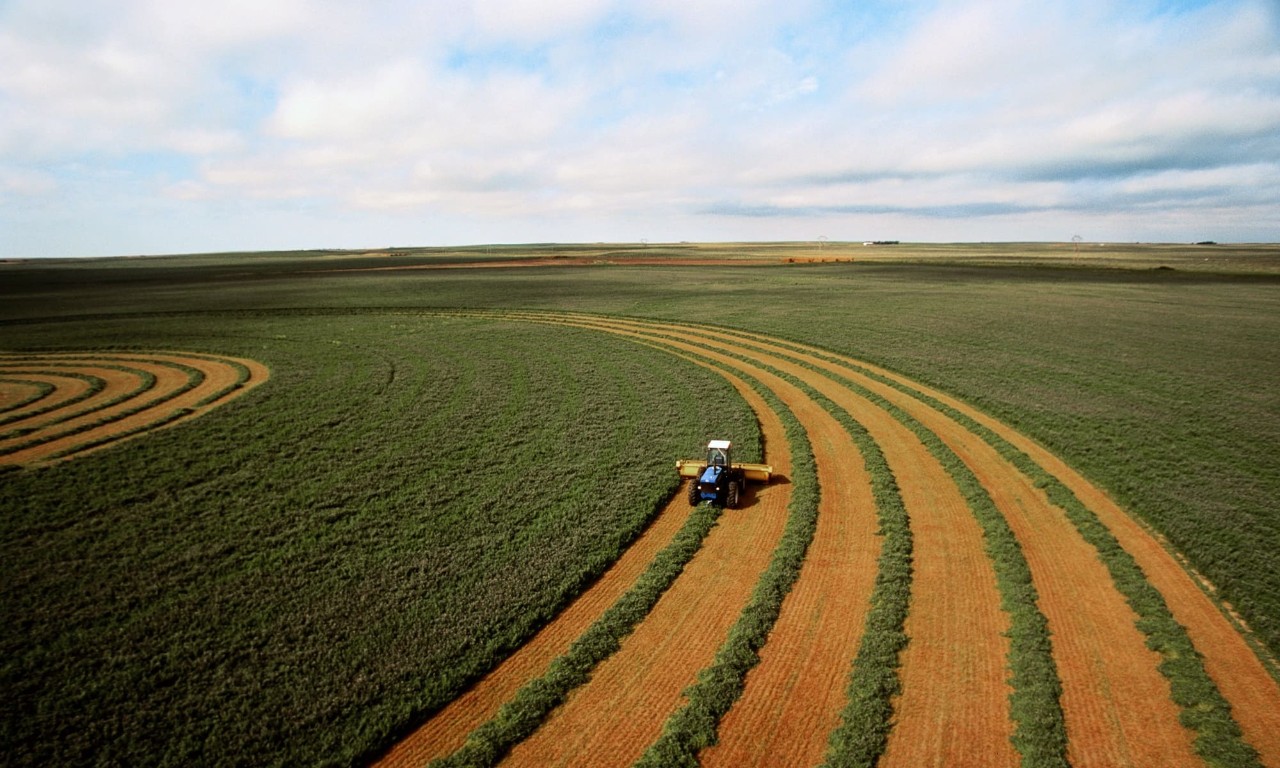 Agriculture